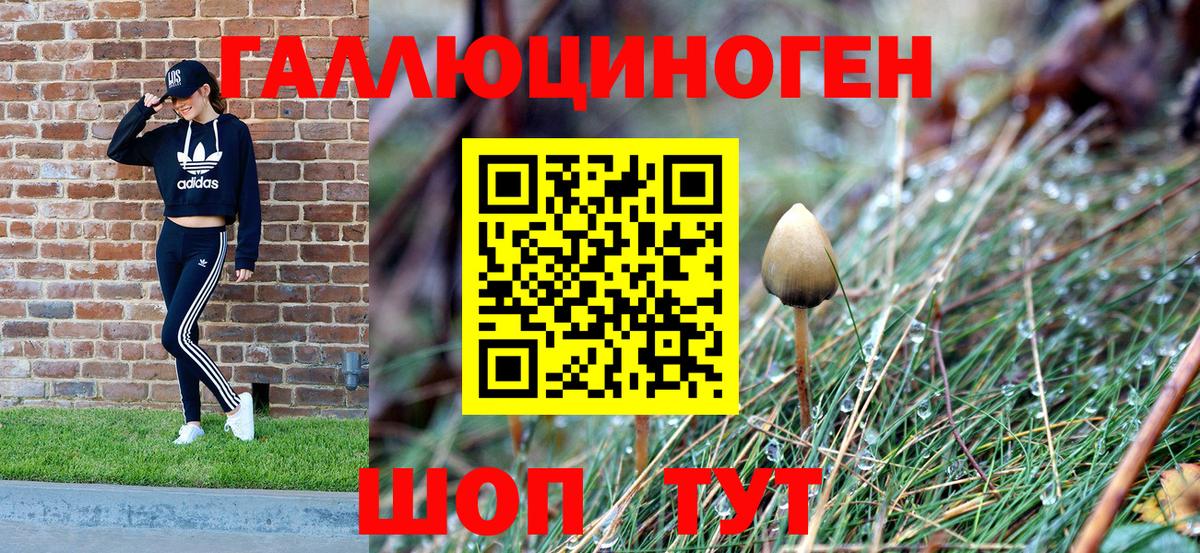 Галлюциногенные грибы Magic Shrooms Барабинск